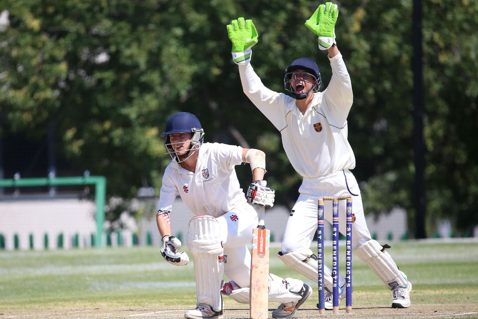 Cricket rules and regulation