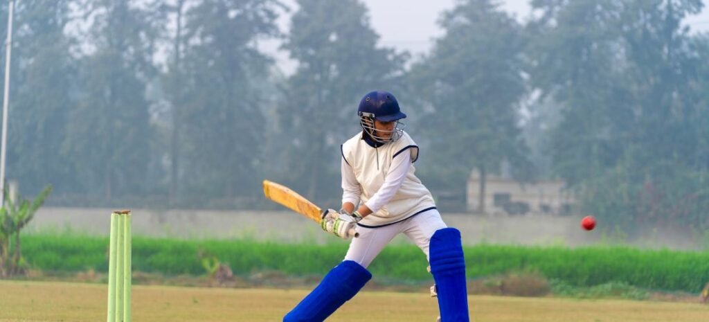 How to Play Cricket