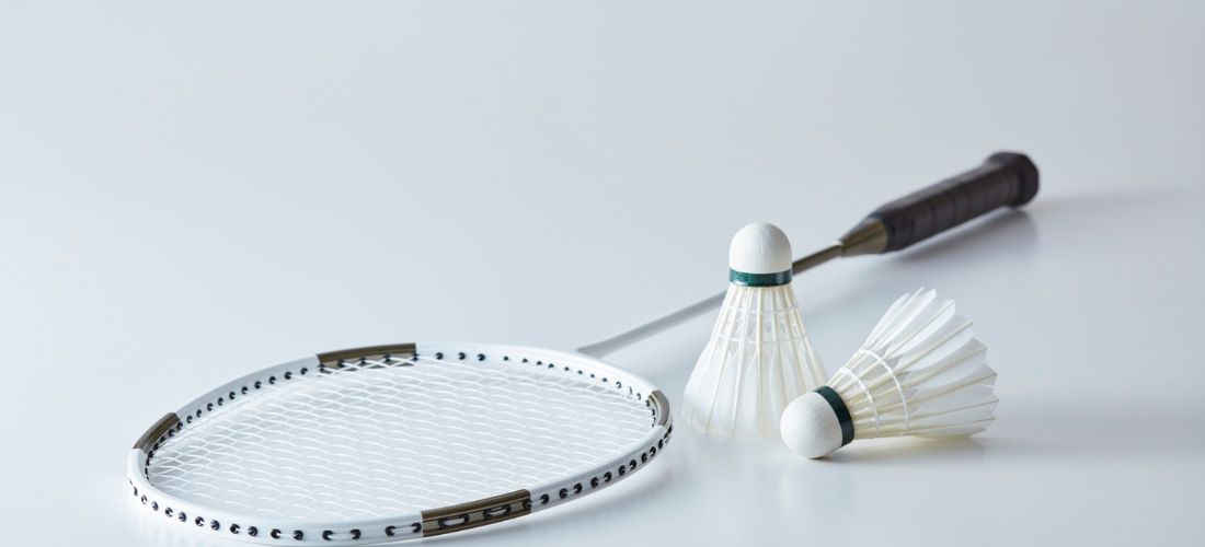 Badminton Academy in Greater Noida West
